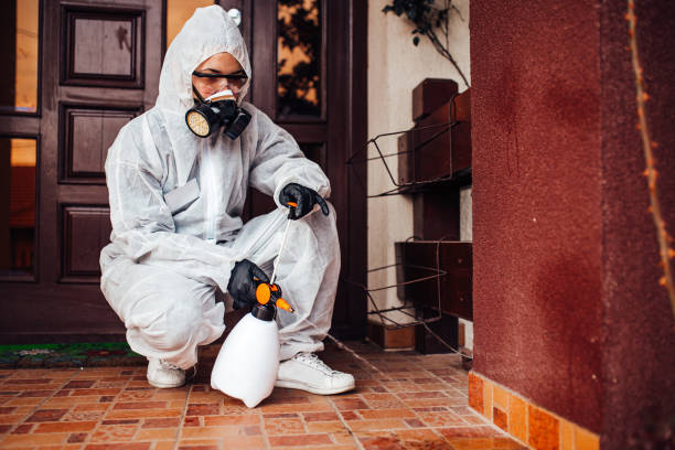 Attic and Crawl Space Rodent Treatment in Atlantis