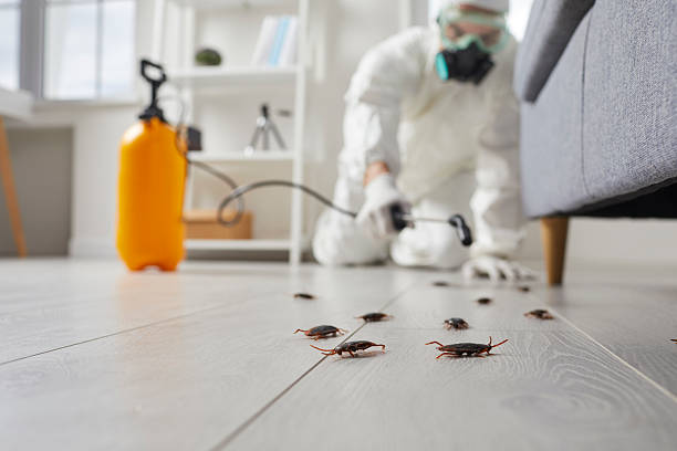 Commercial Rodent Management in Atlantis